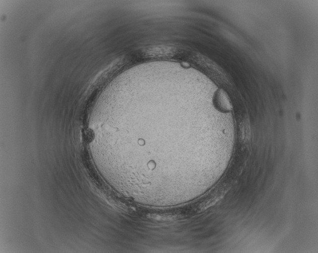 X0000077280733200611101317