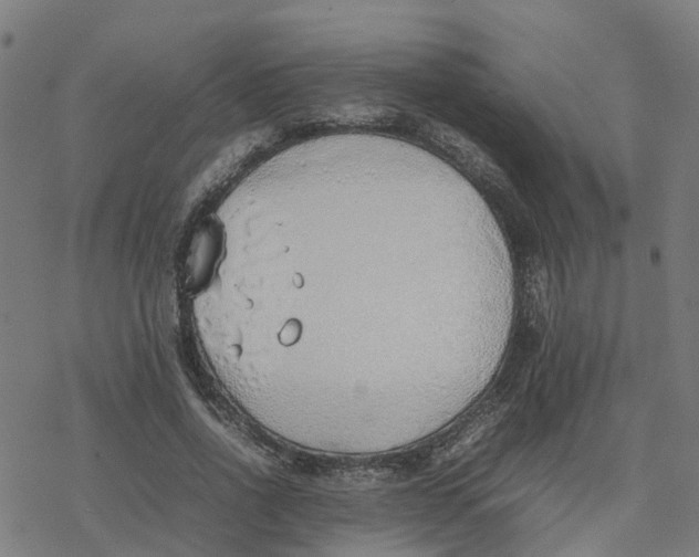 X0000077280734200611101317