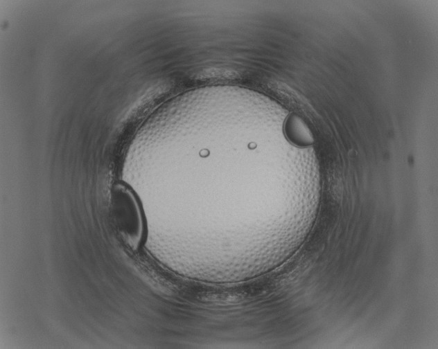 X0000077280735200611101317