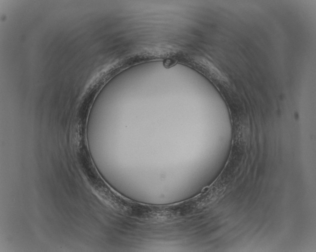 X0000077280736200611101317