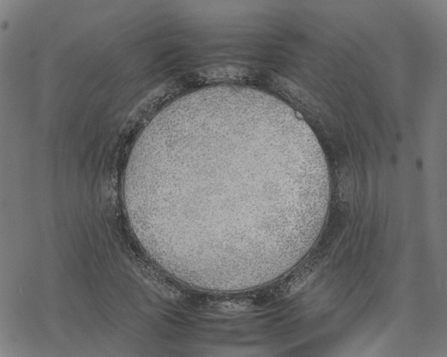 X0000077280737200611101317