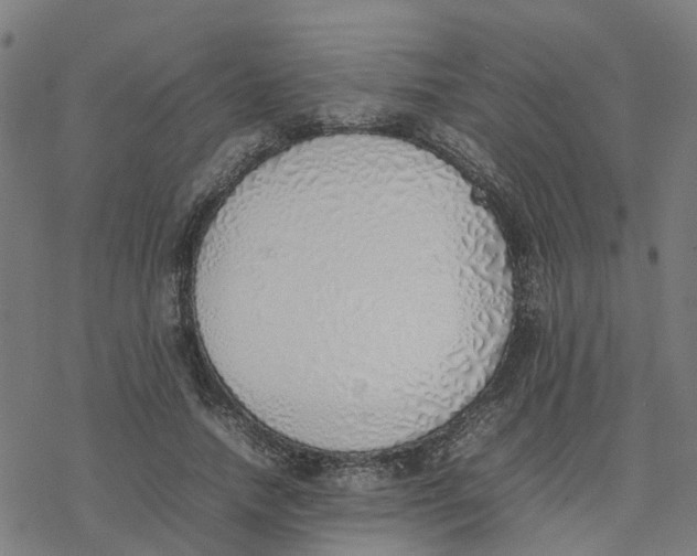 X0000077280738200611101317