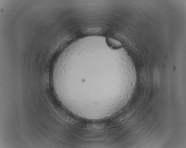 X0000077280739200611101317