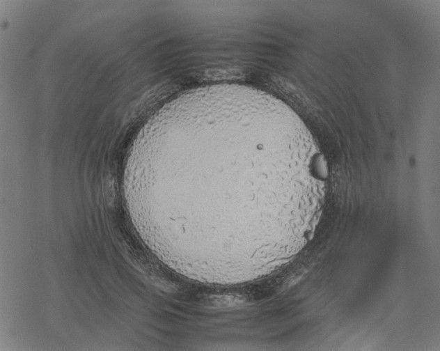 X0000077280741200611101317