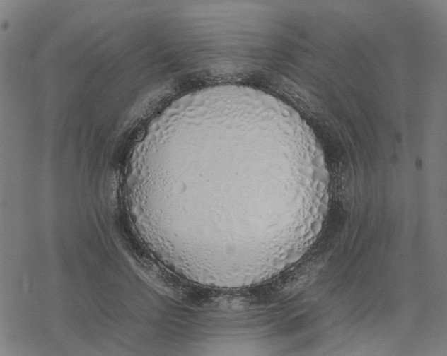 X0000077280742200611101317