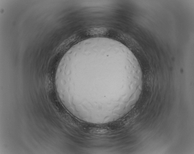 X0000077280743200611101317