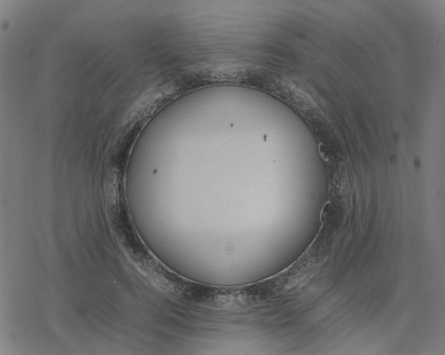 X0000077280744200611101317