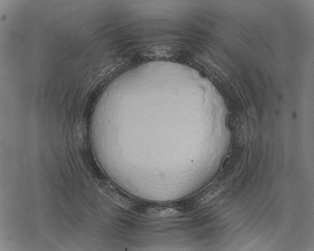 X0000077280747200611101317