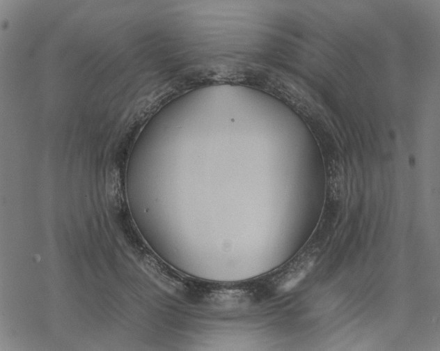 X0000077280748200611101317