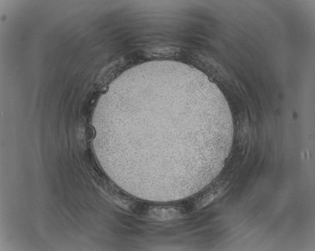 X0000077280749200611101317