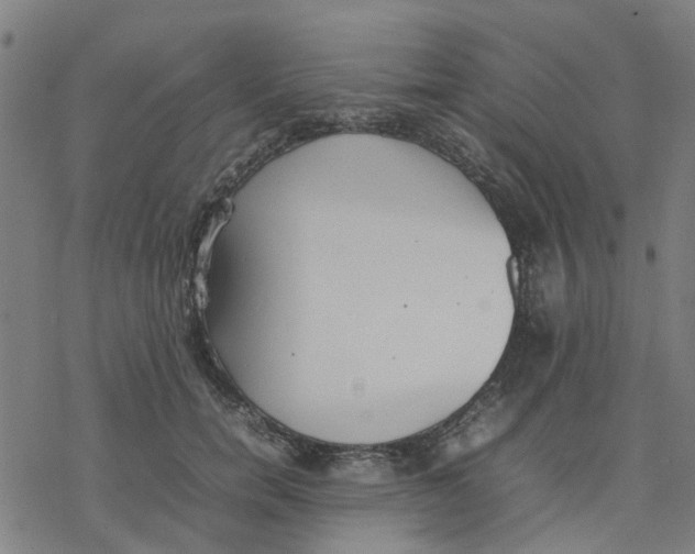 X0000077280750200611101317