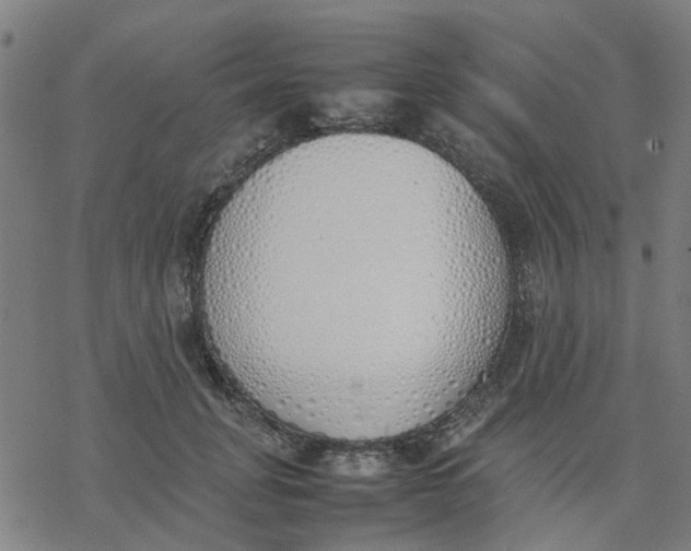 X0000077280751200611101317