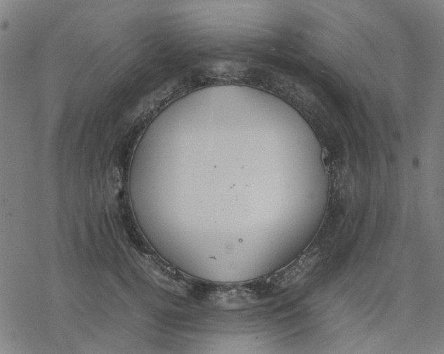 X0000077280752200611101317