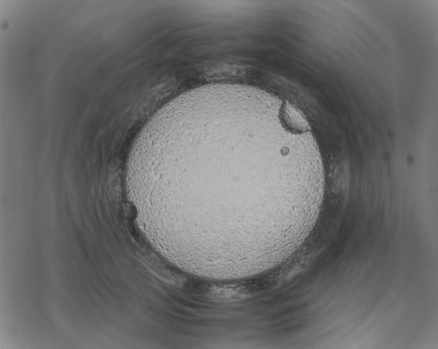 X0000077280753200611101317