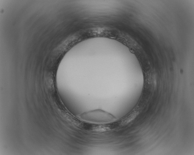 X0000077280754200611101317