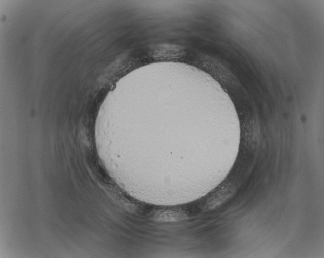 X0000077280755200611101317