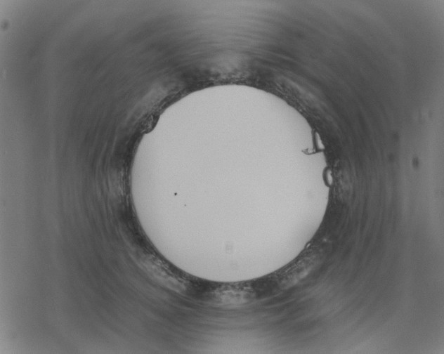 X0000077280756200611101317