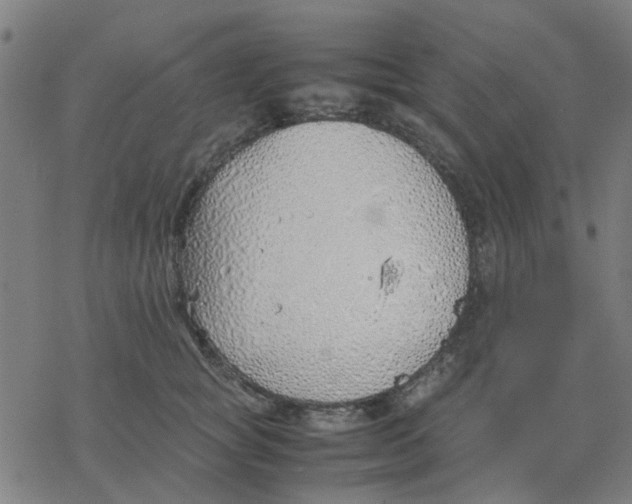 X0000077280757200611101317