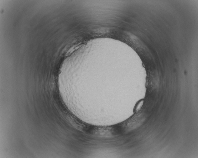 X0000077280758200611101317