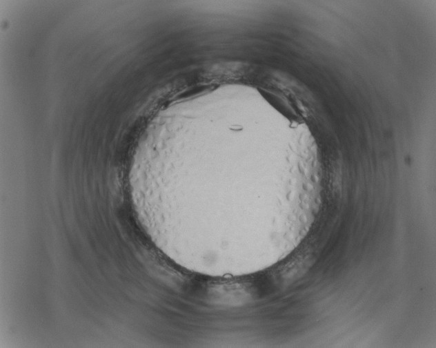 X0000077280759200611101317