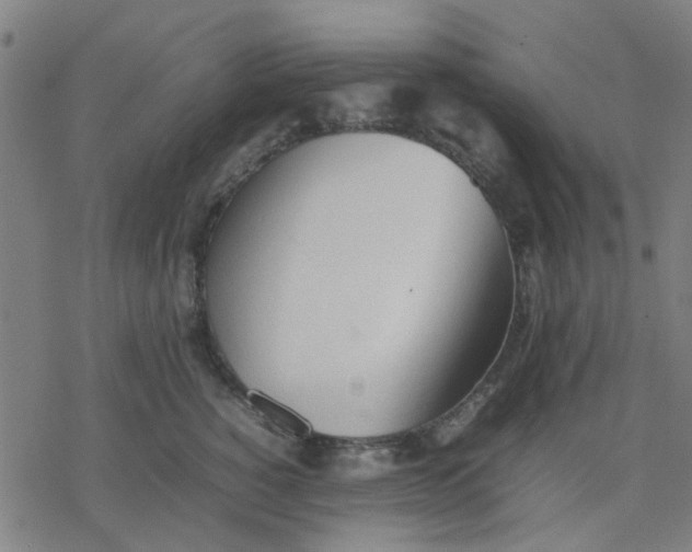 X0000077280760200611101318