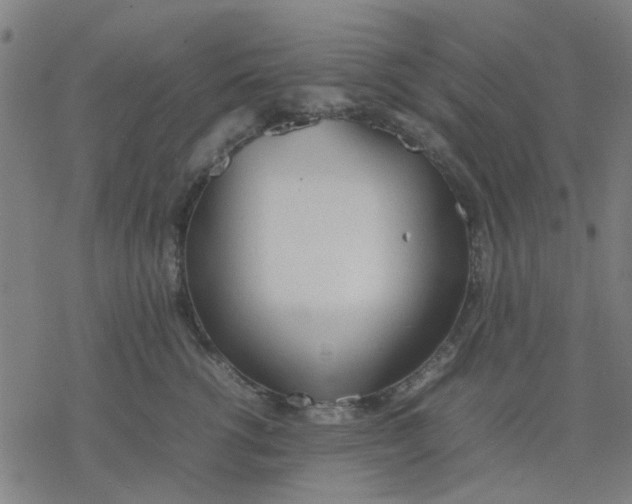 X0000077280762200611101318