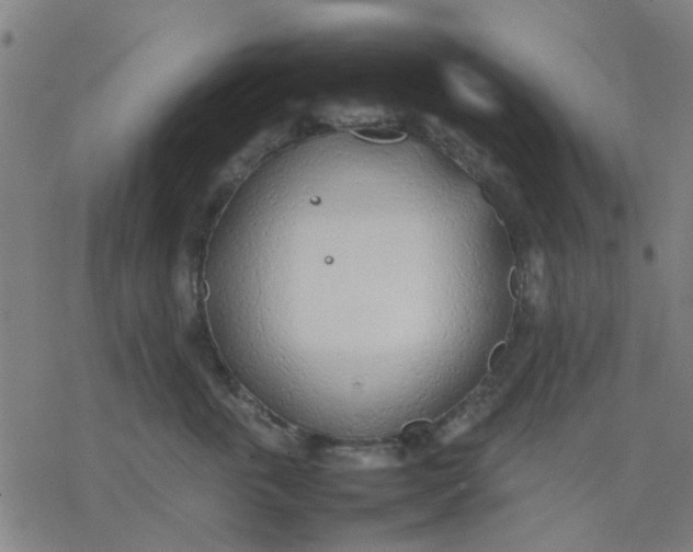 X0000077280763200611101318