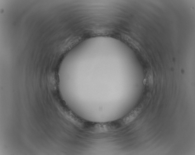 X0000077280764200611101318