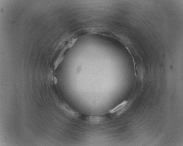 X0000077280766200611101318