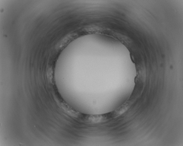 X0000077280767200611101318