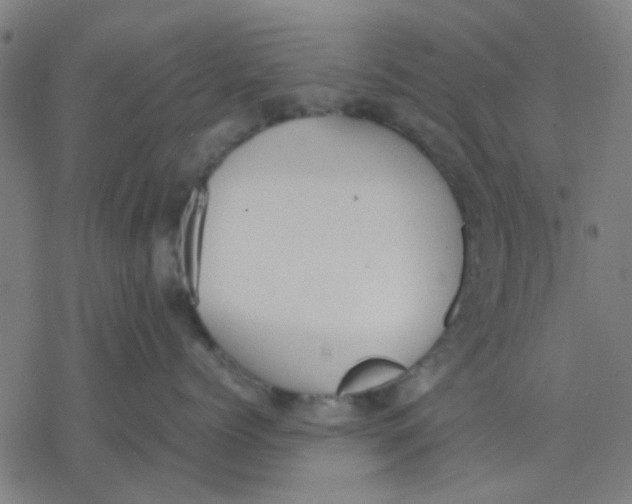 X0000077280768200611101318