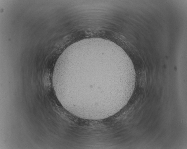 X0000077280770200611101317