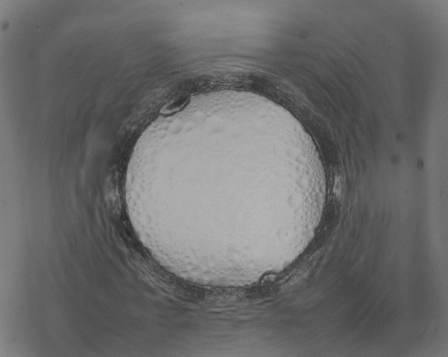 X0000077280771200611101317