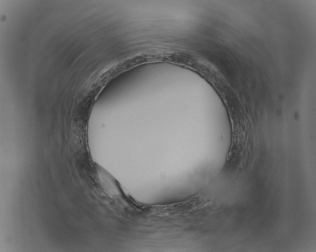 X0000077280773200611101317