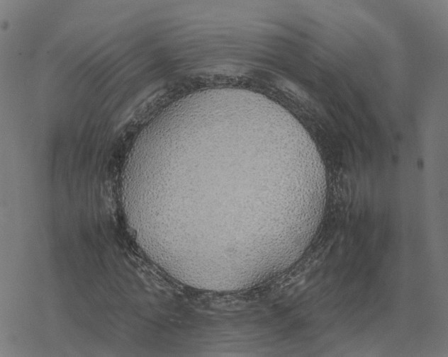 X0000077280774200611101317