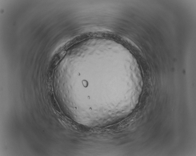 X0000077280775200611101317