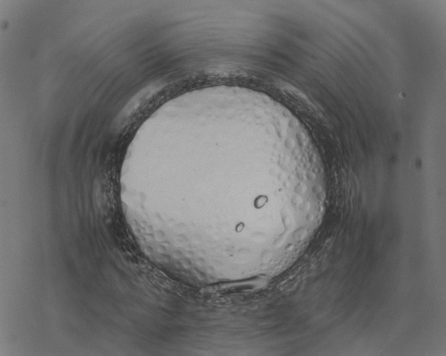 X0000077280776200611101317