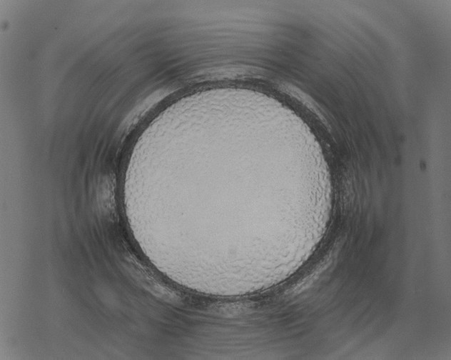 X0000077280778200611101317