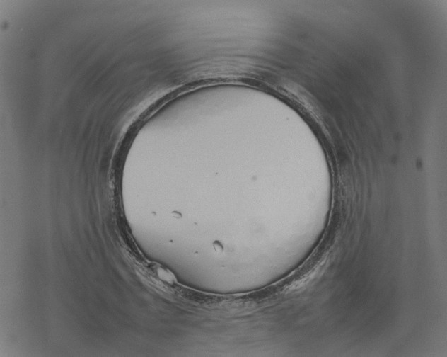 X0000077280779200611101317