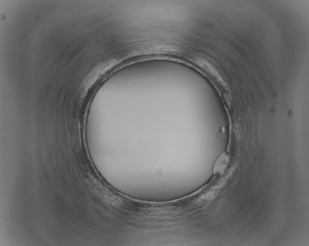 X0000077280781200611101317