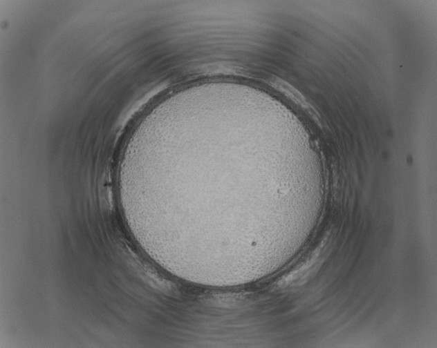 X0000077280782200611101317