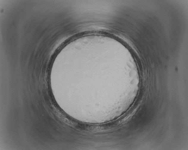 X0000077280783200611101317