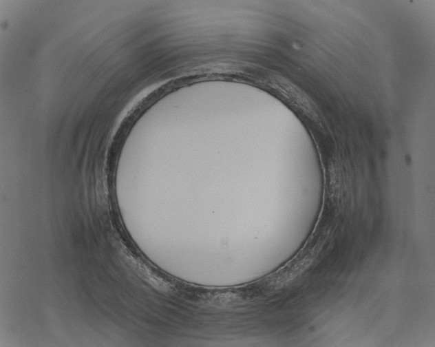 X0000077280784200611101317