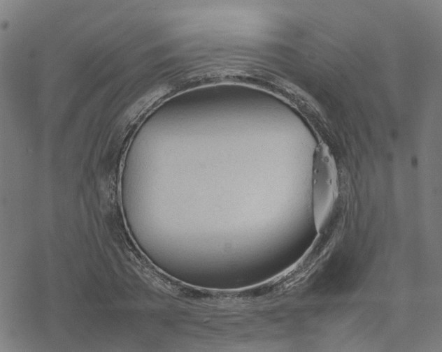 X0000077280785200611101317