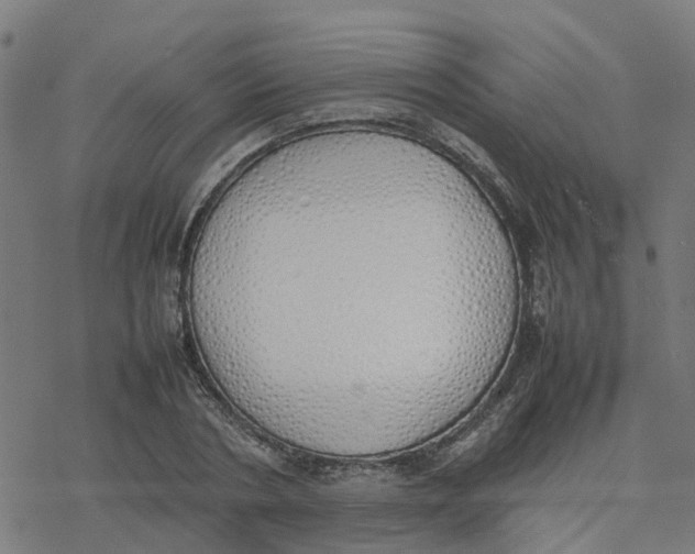 X0000077280786200611101317