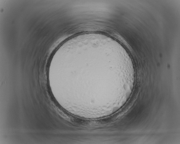 X0000077280787200611101317