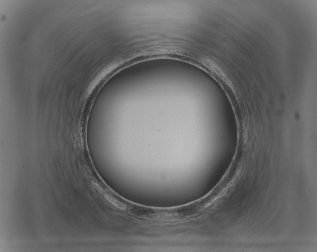 X0000077280789200611101317