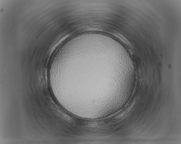 X0000077280790200611101317