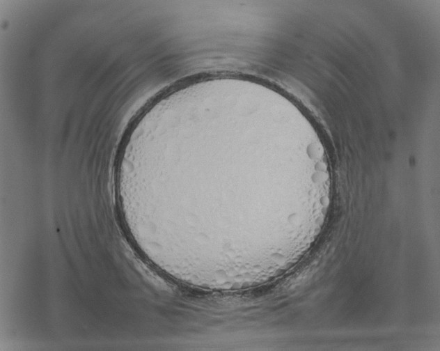 X0000077280791200611101316