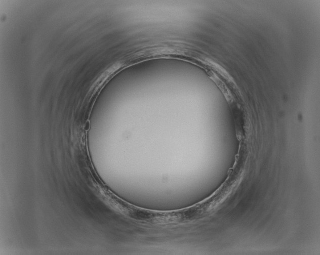 X0000077280793200611101316